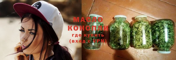 таблы Гусев
