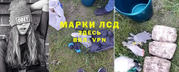 таблы Гусев