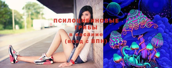 соль ск Гусиноозёрск