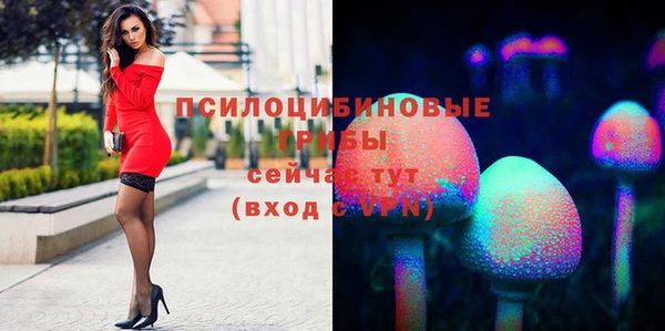 а пвп мука Гусь-Хрустальный