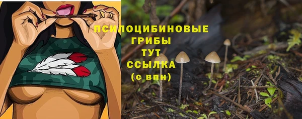 каннабис Дмитриев